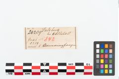 Etikett zu Bronzearmreif (NHMW-PRAE-026209)